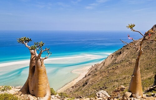 Classic Socotra Tour